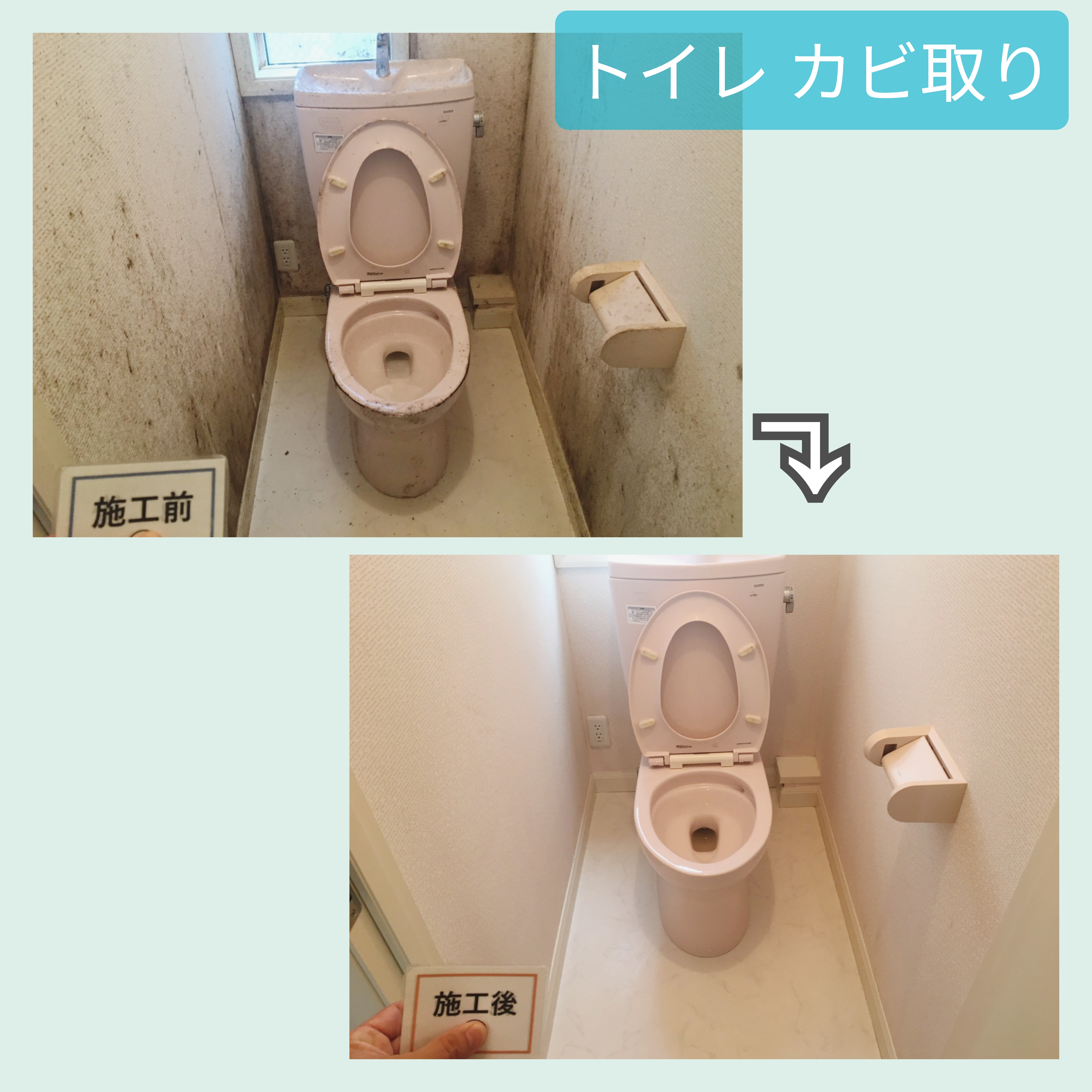トイレ 壁 カビ取り 黒カビ お掃除 熊谷市の金井産業